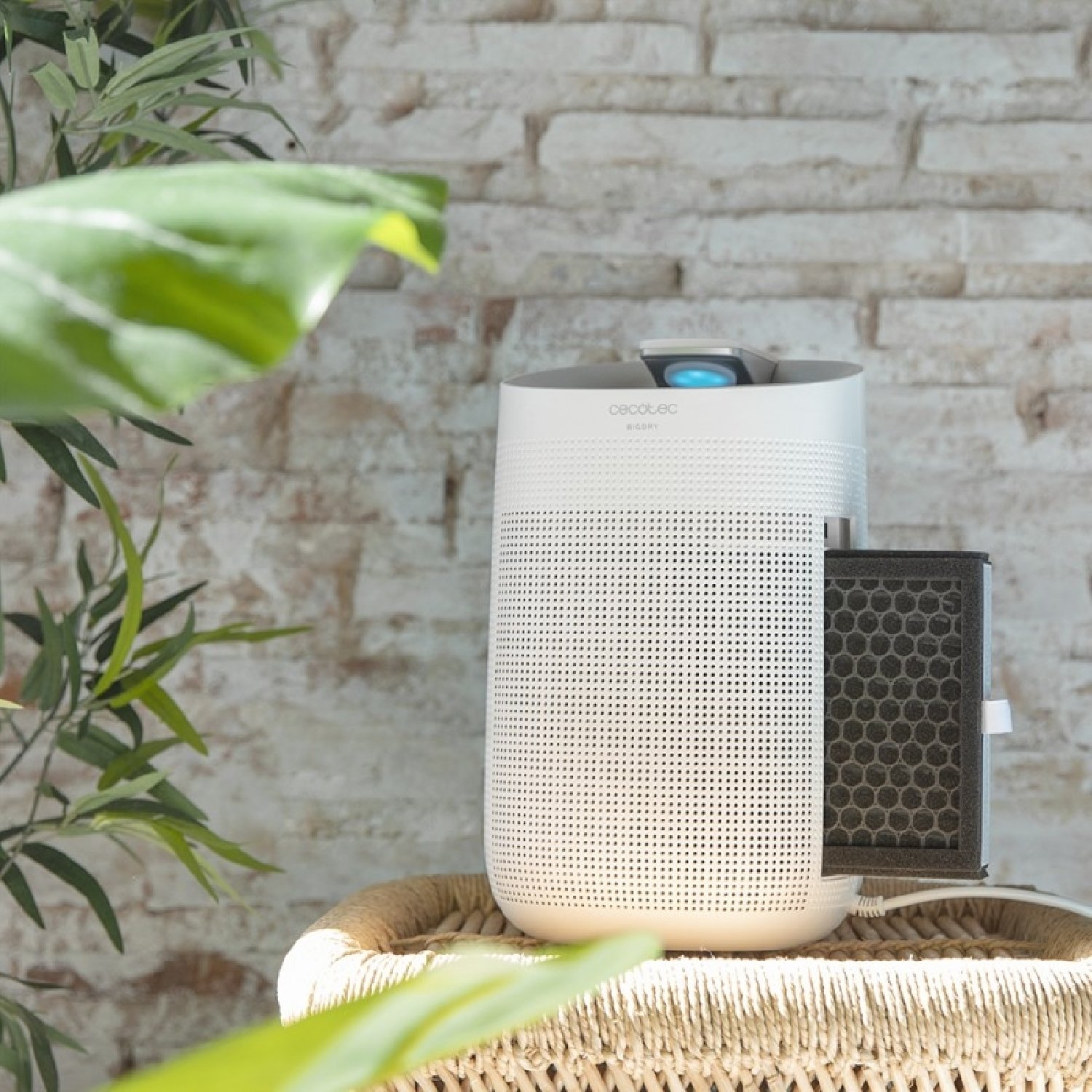 BigDry 3000 PureLight - Imagen 4